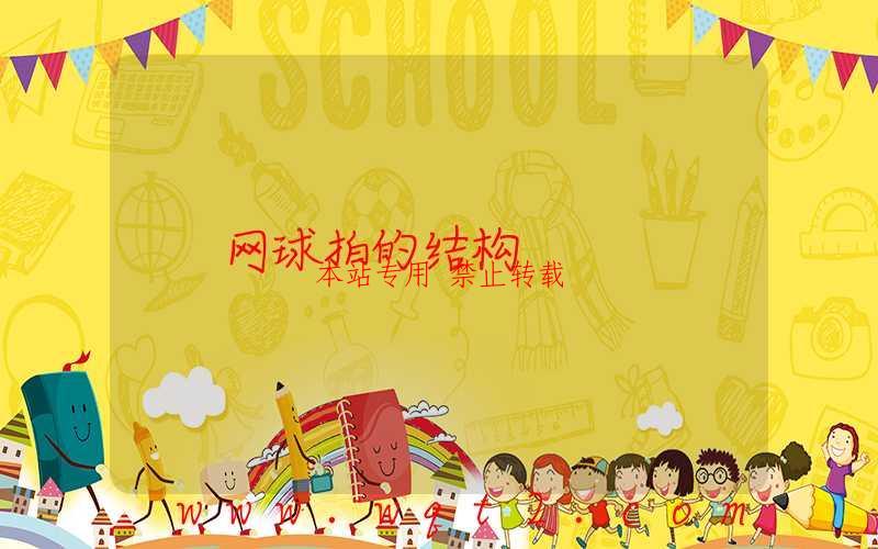 网球拍的结构 第1张